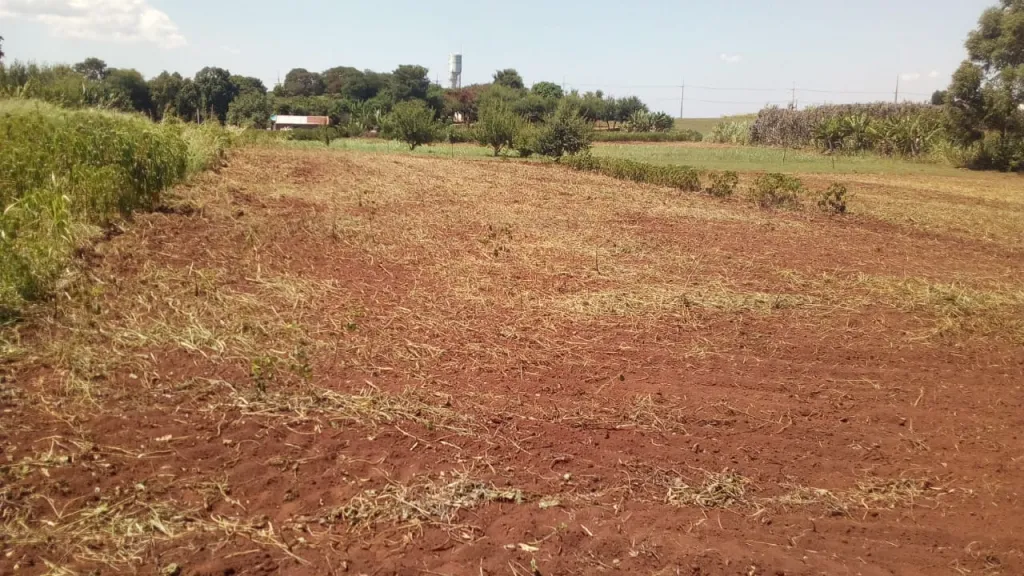 Terreno Itapúa San Juan del Paraná — foto 2