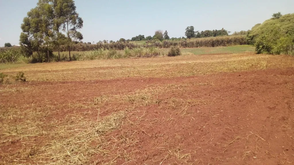 Terreno Itapúa San Juan del Paraná — foto 3