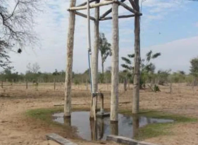 Establecimiento ganadero — foto 3