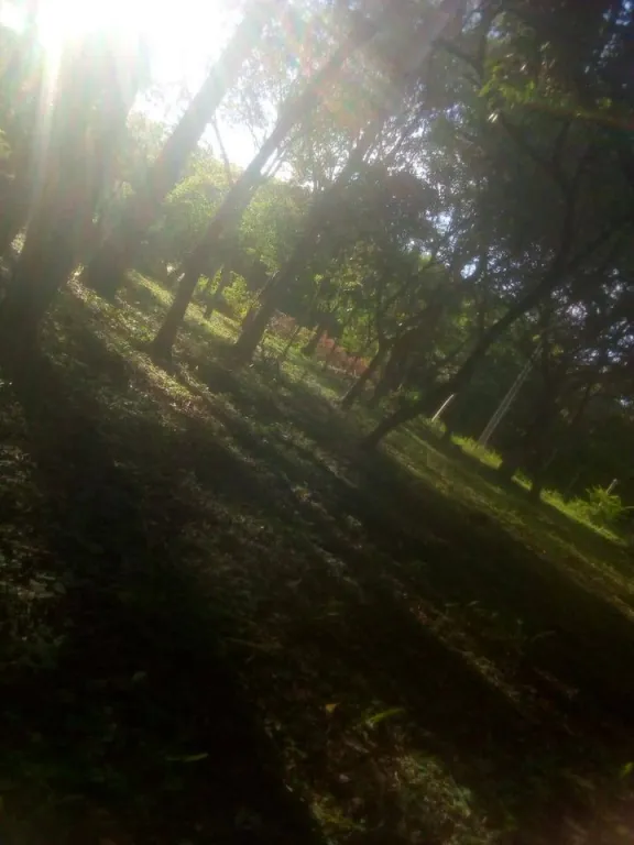 VENDO 3 TERRENOS EN CORDILLERA ALTOS COD 3450 — foto 2
