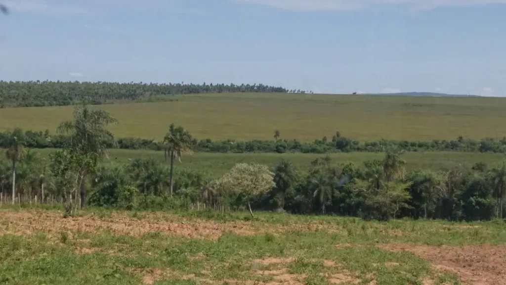 Vendo 15 hectareas piribebuy — foto 2