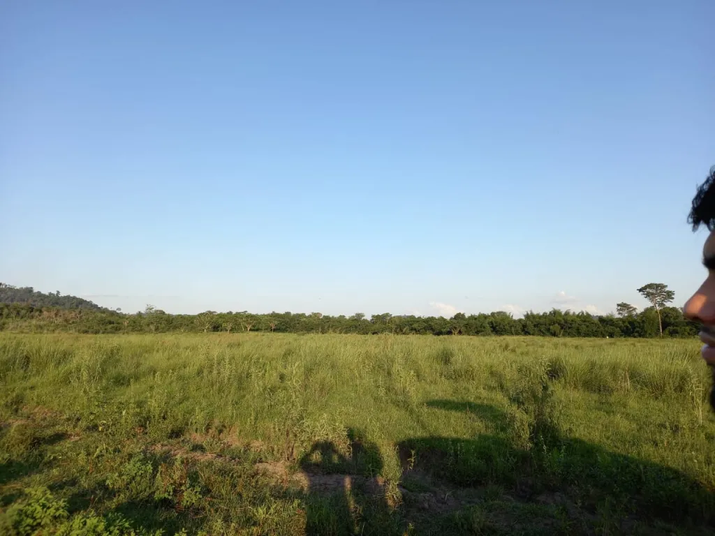 Vendo 30 has en Alto verá - Itapua — foto 2