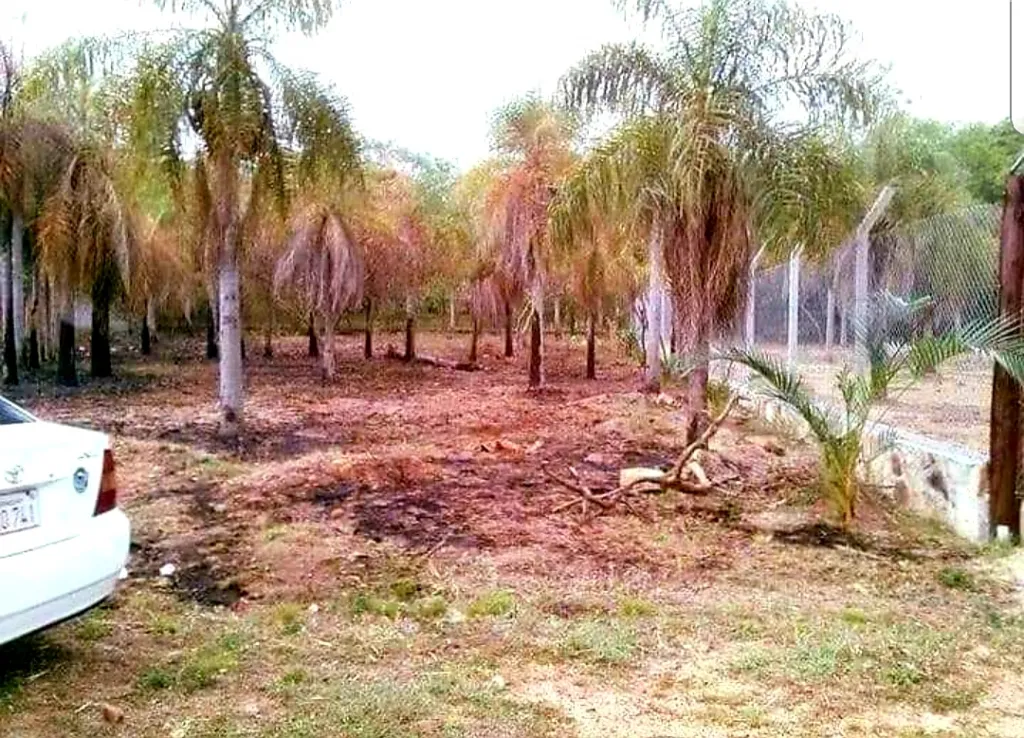 Terreno en venta 501,43m2 zona céntrica de San Bernardino — foto 2