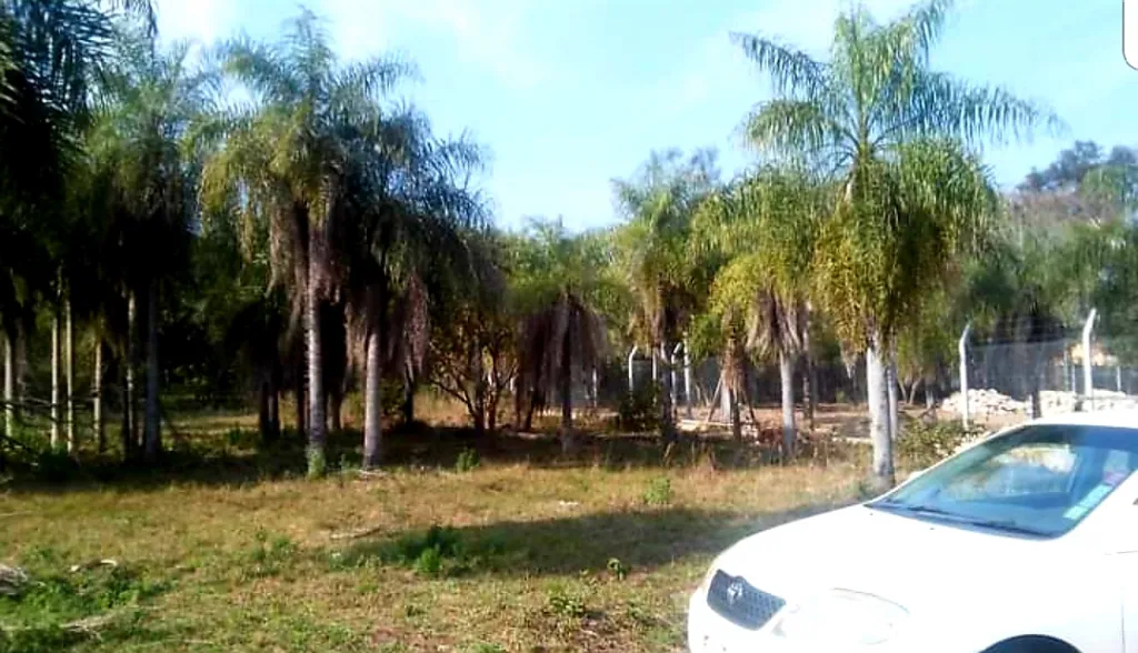 Terreno en venta 501,43m2 zona céntrica de San Bernardino — foto 3