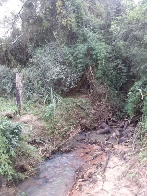 Terreno de 32 Hectáreas, para: engordeganado o cultivo — foto 3