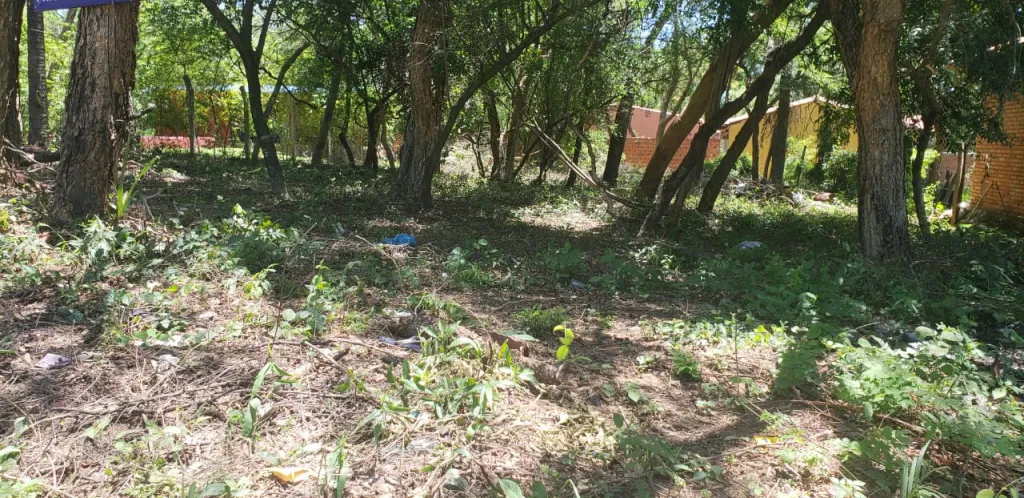 VENDO TERRENO EN SANBER ZONA COPACO, RUTA SANBER ALTOS — foto 2