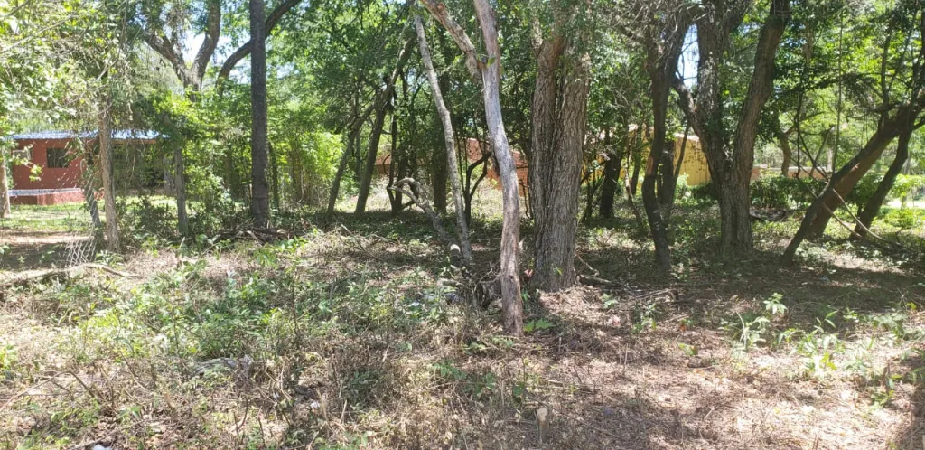 VENDO TERRENO EN SANBER ZONA COPACO, RUTA SANBER ALTOS — foto 3