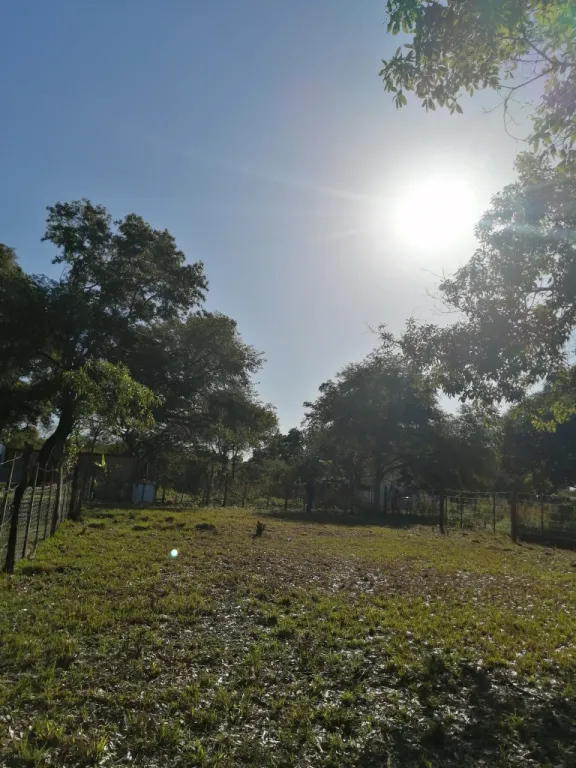 VENDO TERRENO EN LIMPIO — foto 3