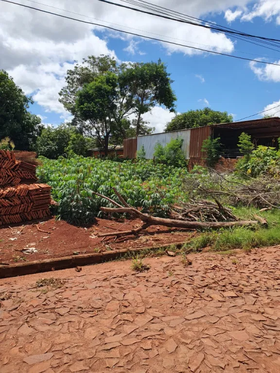 VENDO TERRENO EN KATUETE A UNA CUADRA DE LA RUTA INTERNACIONAL NRO 10 — foto 2