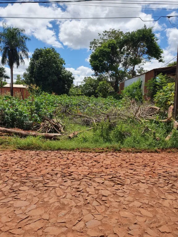 VENDO TERRENO EN KATUETE A UNA CUADRA DE LA RUTA INTERNACIONAL NRO 10 — foto 3