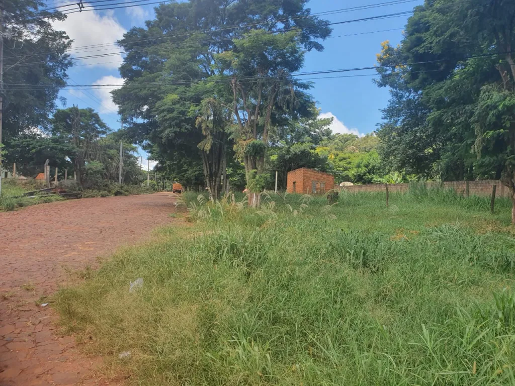 VENDO TERRENO UBICADO SOBRE LA RUTA INTERNACIONAL NRO 10 - EN LA PALOMA — foto 2