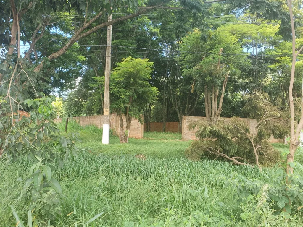 VENDO TERRENO UBICADO SOBRE LA RUTA INTERNACIONAL NRO 10 - EN LA PALOMA — foto 3