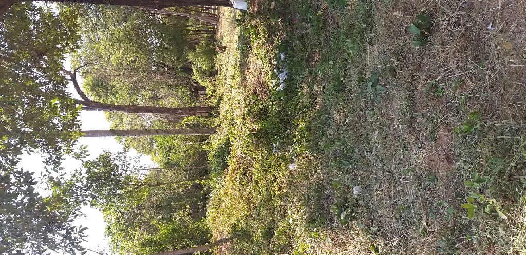 Vendo esta propiedad en Limpio — foto 2