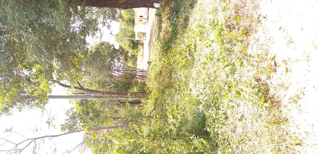 Vendo esta propiedad en Limpio — foto 3