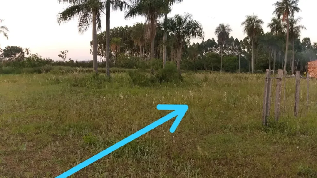 Terreno en Paraguari. — foto 2