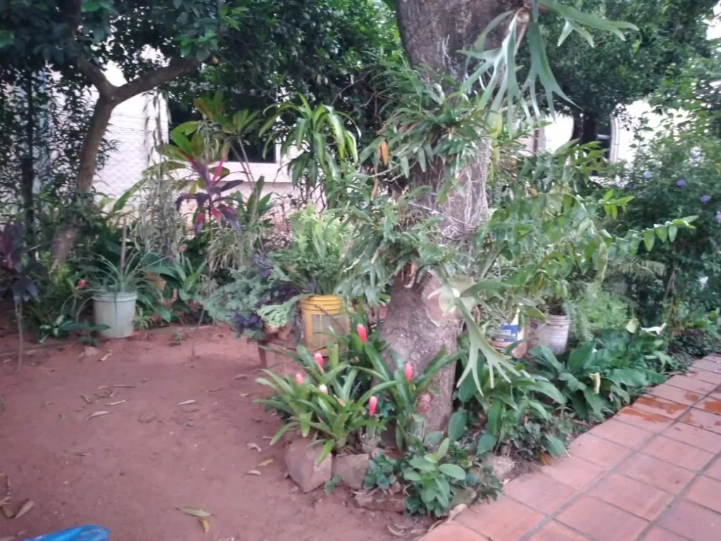 OFERTA!!!!!!!!! Una casa Zona Cañadita Ñemby — foto 2