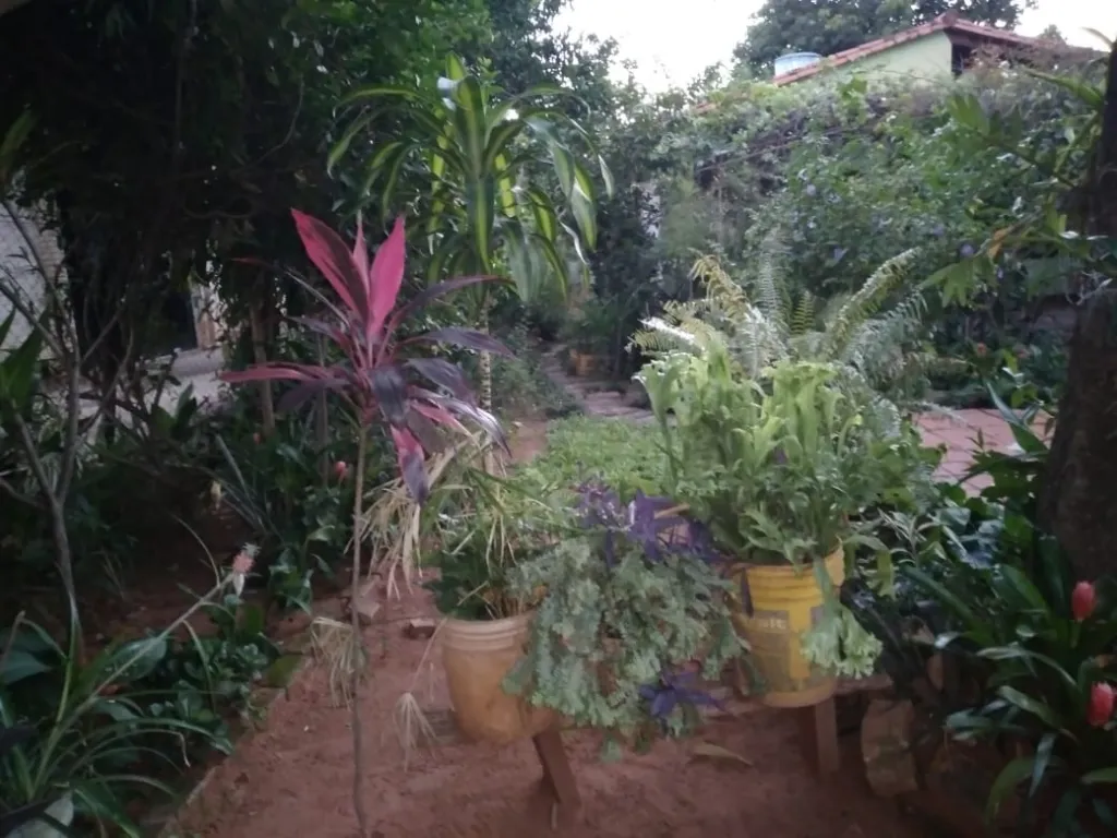OFERTA!!!!!!!!! Una casa Zona Cañadita Ñemby — foto 3