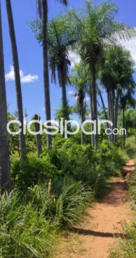 VENDO TERRENO EN YAGUARON, MAS DE 8 HECTÁREAS — foto 2