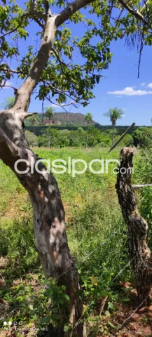 VENDO TERRENO EN YAGUARON, MAS DE 8 HECTÁREAS — foto 3