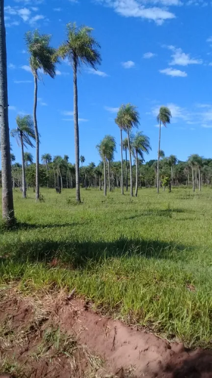 Venta de lote — foto 2