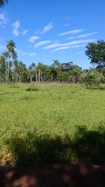 Venta de lote — foto 3