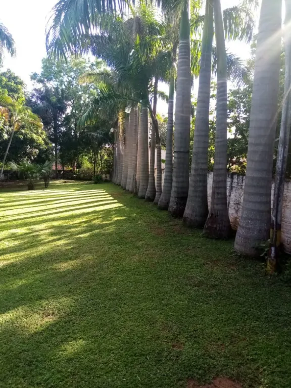PROPIEDAD JARDÍN — foto 2