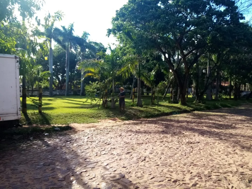 PROPIEDAD JARDÍN — foto 3