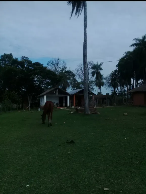 Vendo 16 hectáreas en Villarica — foto 2