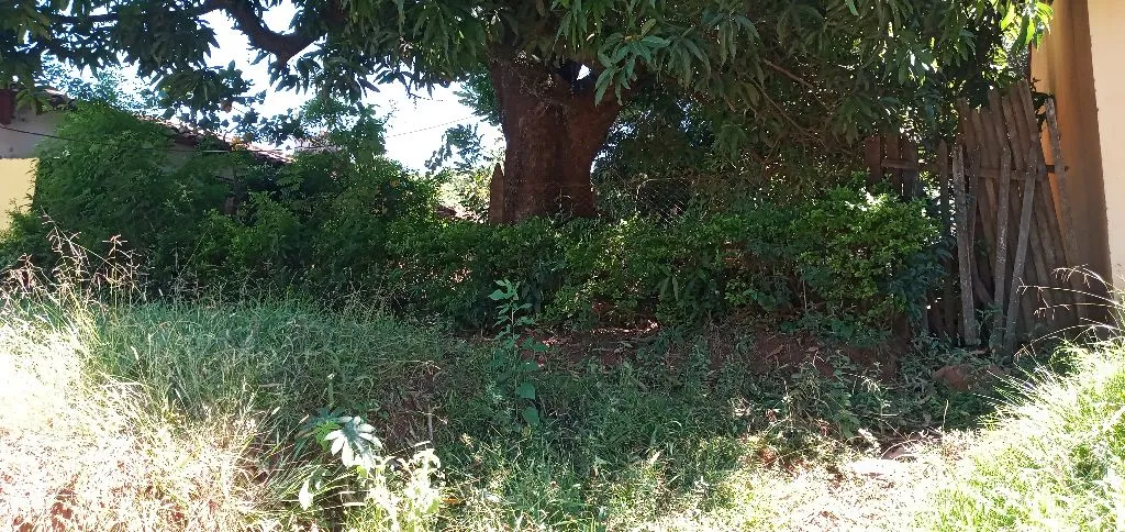 Vendo terreno — foto 2
