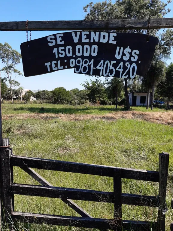 Vendo en el Km 44...sobre Ruta 2, (Pegado A Parrillada 44),Lote De 46 X 43,5mts( 2.001m2). — foto 3