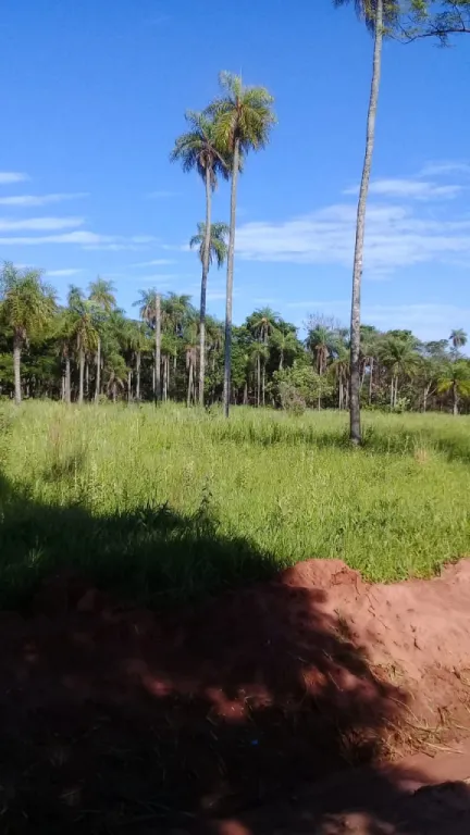 Venta de lote — foto 2