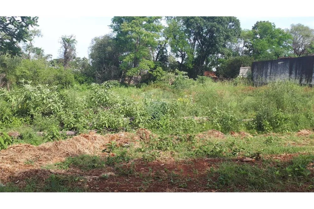 Vendo terreno en el barrio Silvio Pettirossi — foto 2