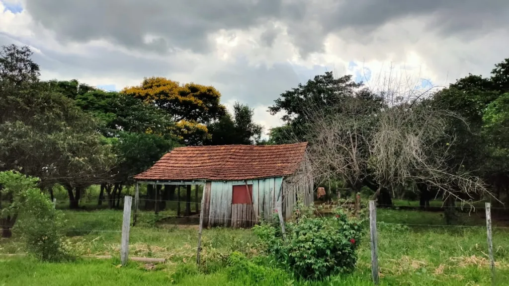 10 hectáreas de Terreno especial para granja — foto 2