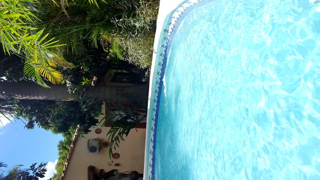 50% de Manuel Frutos 2744 — foto 2