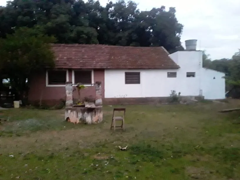 GRAL. AQUINO – SAN PEDRO: 43 HAS – ESTABLECIMIENTO TOTALMENTE FORMADO, 35.000.000 GSHA. — foto 2