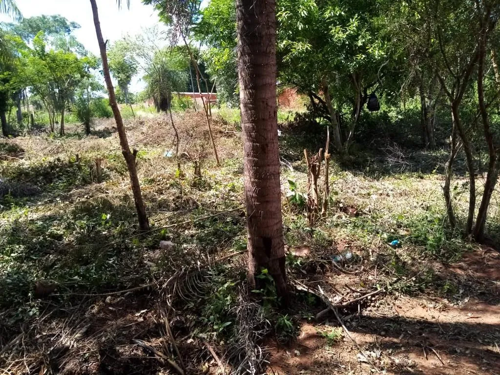 DOS TERRENO EN YPANE CENTRO — foto 2
