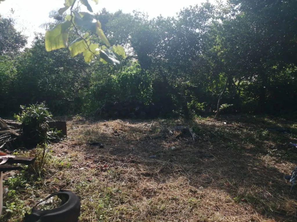 VENDO CASA EN ASUNCION BARRIO SAJONIA COD 3474 — foto 3