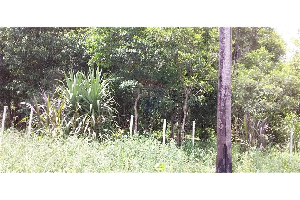 Vendo terreno en Villa Santa María, Trinidad-Hohenau: superficie de terreno 11606 m2 — foto 3
