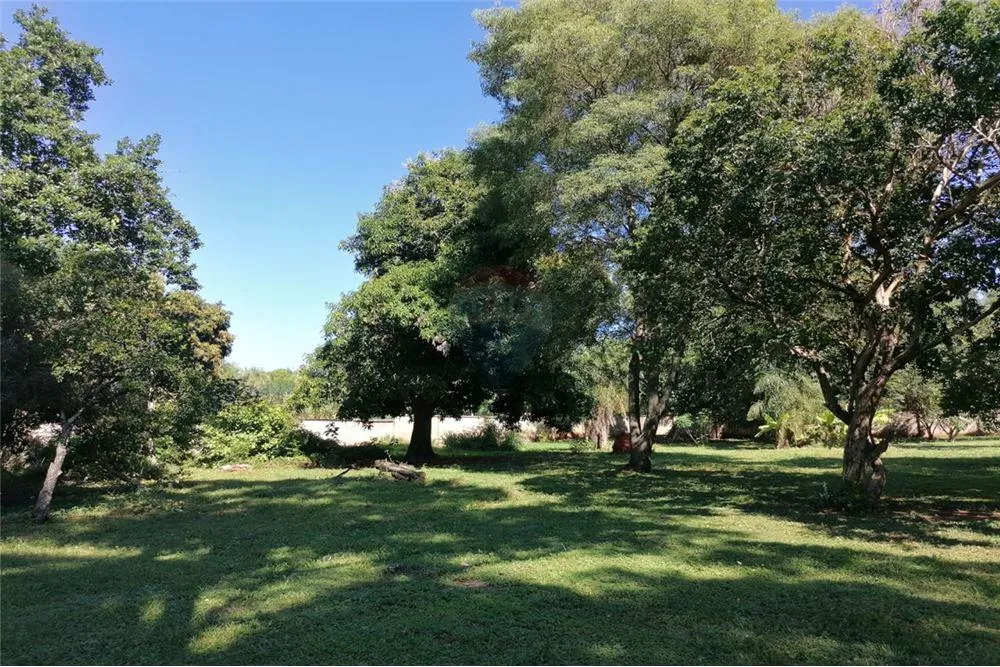 VENDO AMPLIO TERRENO DE 2263M² SOBRE RUTA. 1,450,000,000 ₲ — foto 2