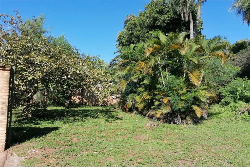 VENDO AMPLIO TERRENO DE 2263M² SOBRE RUTA. 1,450,000,000 ₲ — foto 3