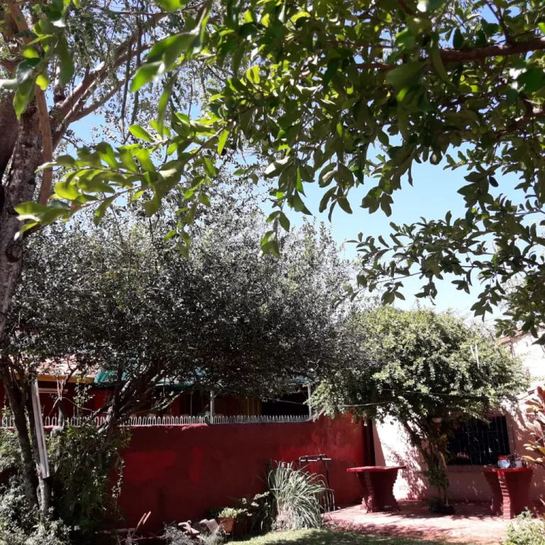 VENDO TERRENO‼️ — foto 3