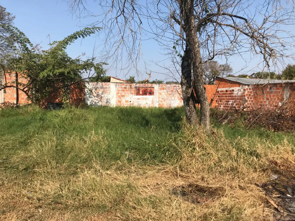 TERRENO R. LUQUE-AREGUA — foto 3