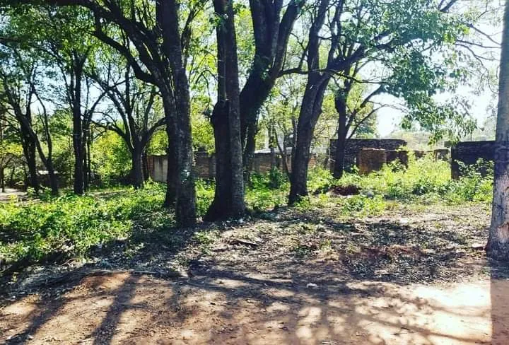 VENDO 8 TERRENOS JUNTOS EN MARIANO ROQUE ALONSO ZONA FORTIS!!! — foto 2