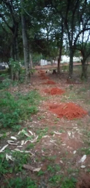 VENDO DOS TERRENOS EN LUQUE BARRIO ZARATE ISLA COD 3067 — foto 2