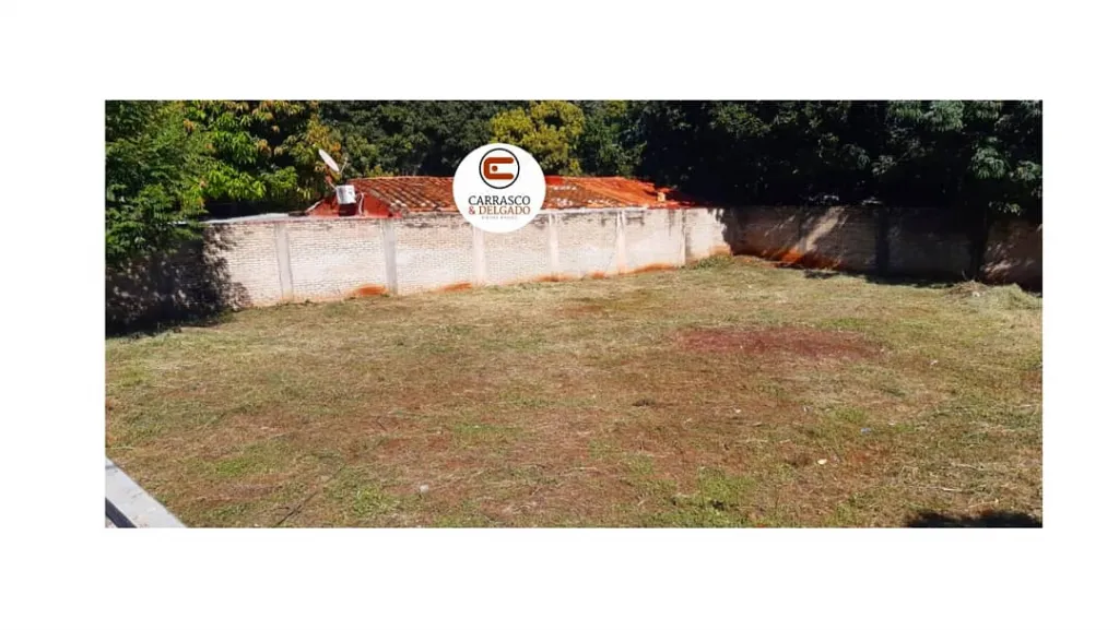 VENDO TERRENO EN FERNANDO DE LA MORA ZONA NORTE — foto 3