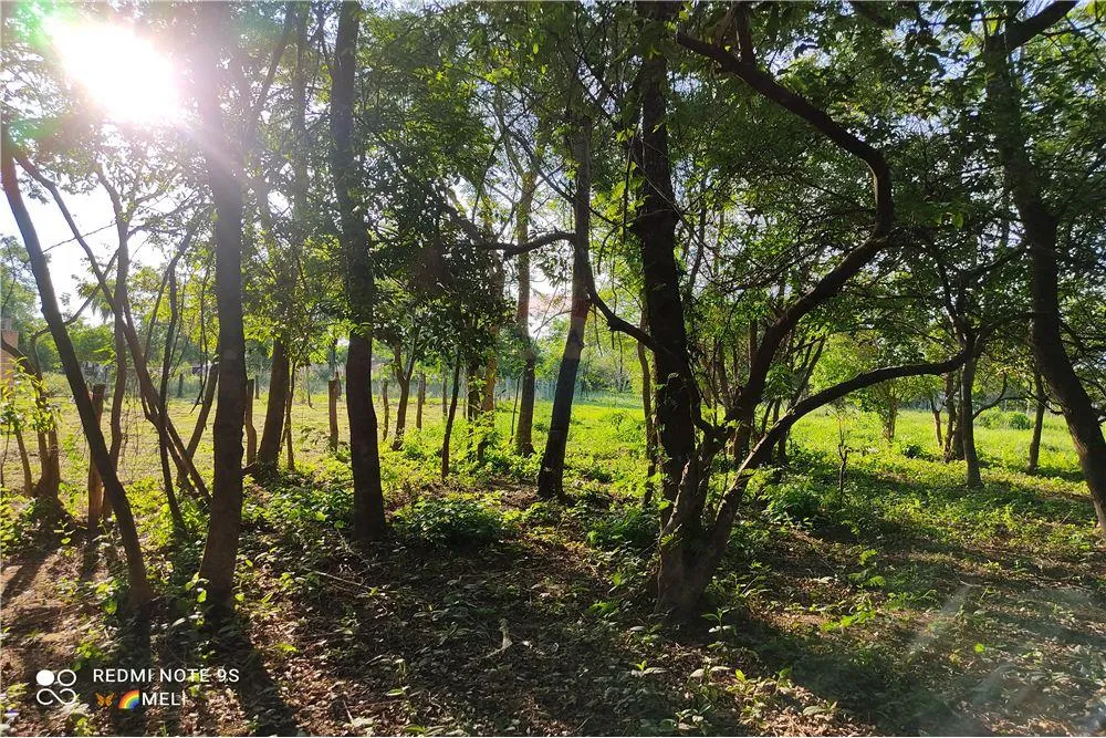 Venta de casi media hectárea, Luque-Areguá — foto 3