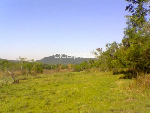 Anuncio 1782130 — foto 2