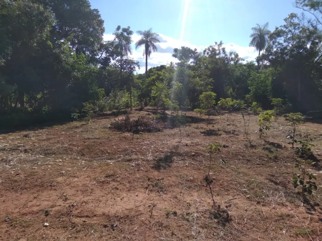 VENDO TERRENO LUQUE — foto 2