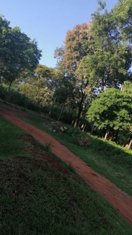 VENDO TERRENO LUQUE — foto 3