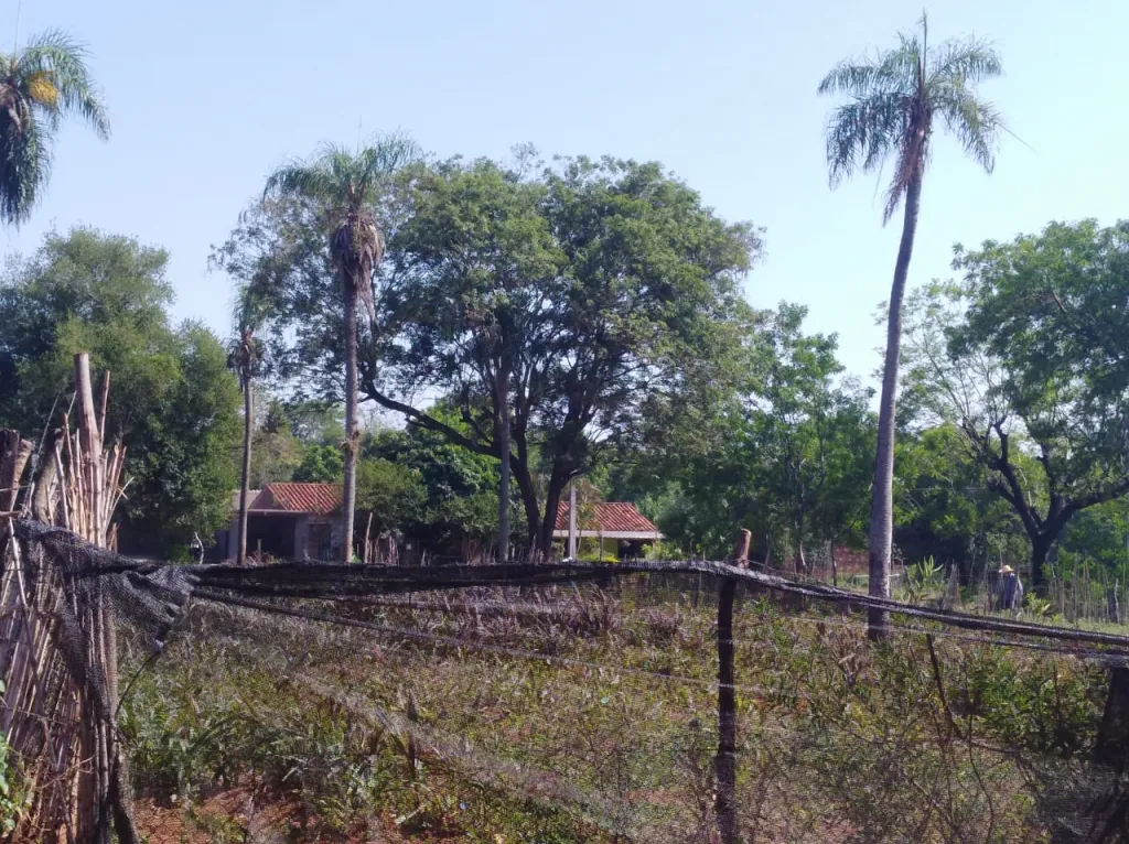 Vendo hermoso terreno en Bario Aldana Cañada Capiata — foto 2